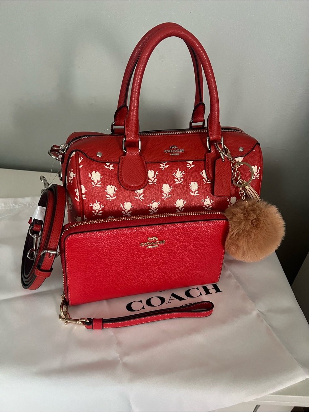 Coach Mini Bennett In Badlands Floral Print With Wallet